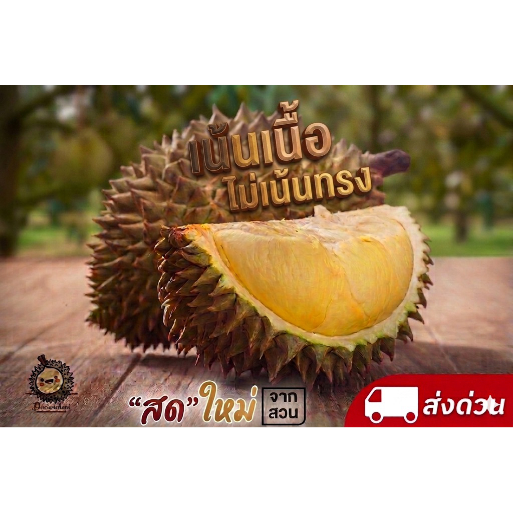 ทุเรียนหมอนทอง (เน้นเนื้อไม่เน้นทรง) (2-3ลูก)