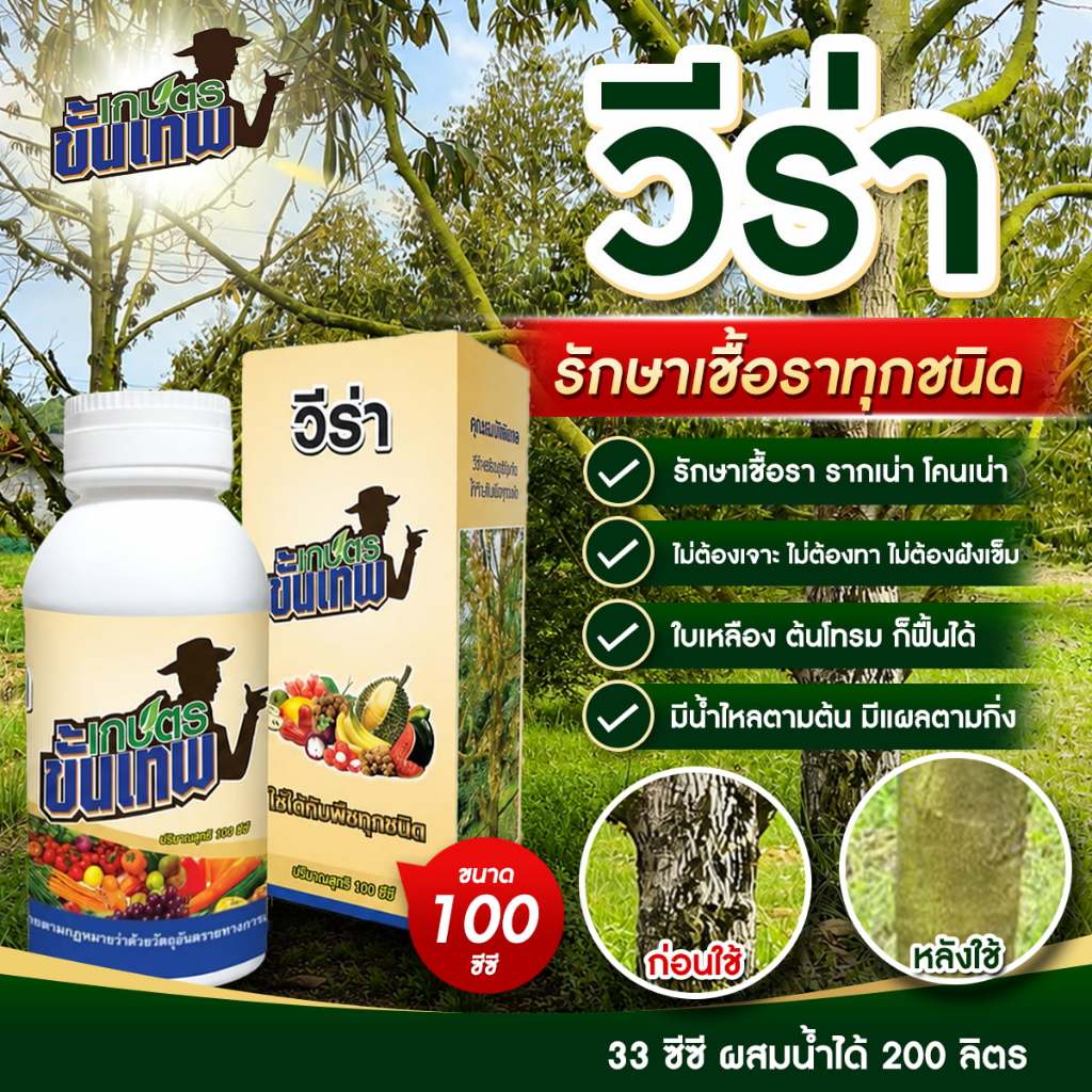 ยากำจัดเชื้อรา วีร่า สูตรควบคุมโรคพืช พ่นโคน ใบ 33cc ผสมน้ำ 200L แก้รากเน่าโคนเน่า ไม่ต้องถากเปลือก