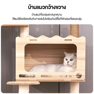 L&Q คอนโดแมว cat tree คอนโดแมวหลากหลายฟังก์ชัน สูง 170cm โครงสร้างมั่นคง แข็งแรง สำหรับบ้านที่มีแมว 1–5 ตัว