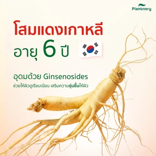 [กล่อง 6 ซอง] Plantnery Red Ginseng แพลนท์เนอรี่ #มอยส์โสมแดง มอยเจอร์ เจล 10 กรัม