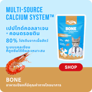 Mr.Vet อาหารแมวเปียก 12 แพ็ค แบบผสม ของขวัญอาหารแมวคริสต์มาสและปีใหม่