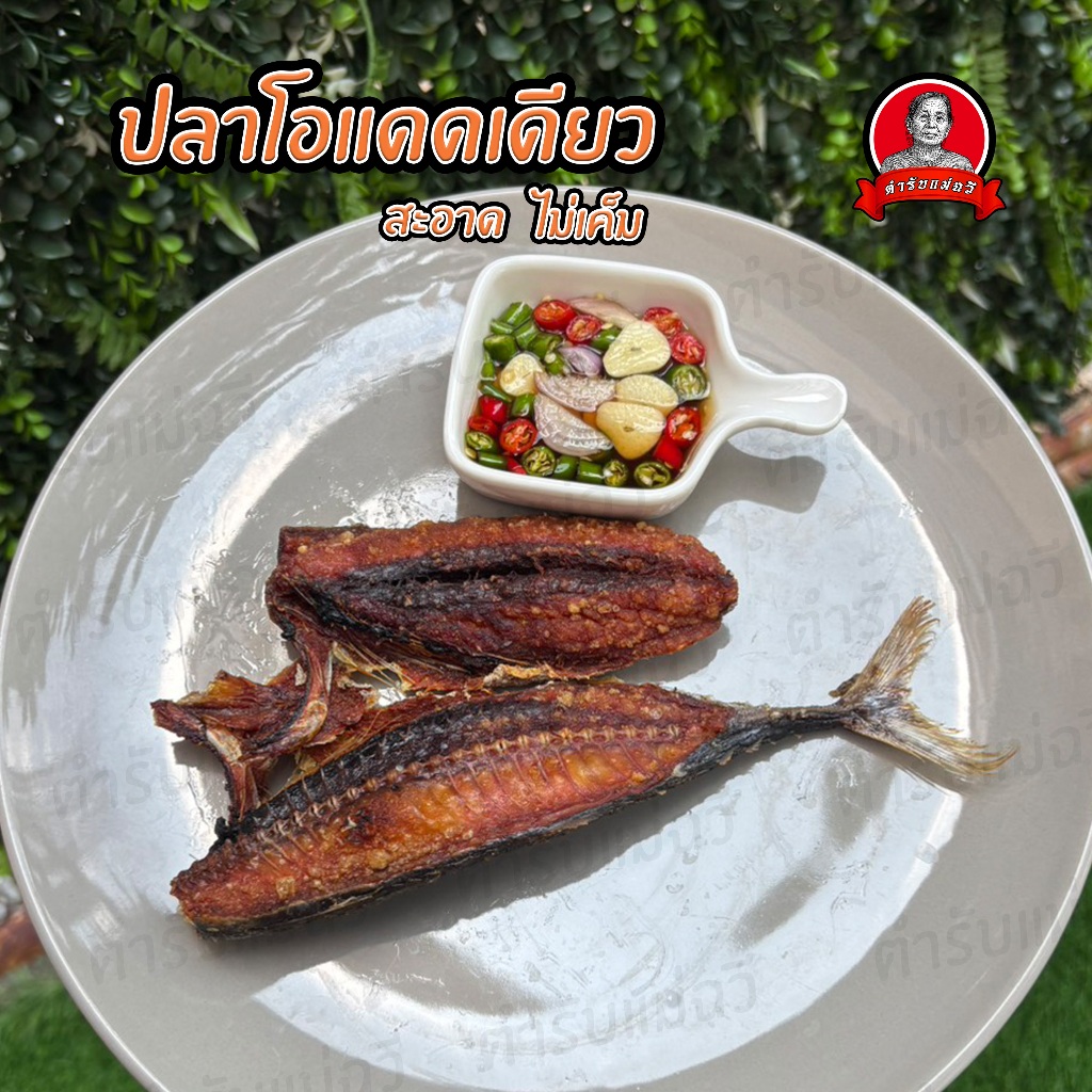 ปลาโอแดดเดียว 500 กรัม รสชาติกำลังดี ไม่เค็ม เนื้อแน่น สะอาด สด ใหม่