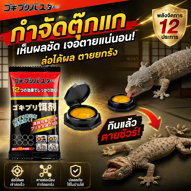 ฆ่าจิ้งจกในบ้าน ยาฆ่าจิ้งจก ยาฆ่าตุ๊กแก สูตรอัปเกรด แบบเหยื่อ กำจัดจนหมด ปลอดภัยกับสัตว์เลี้ยง ไม่มีตุ๊กแกทั่วบ้าน