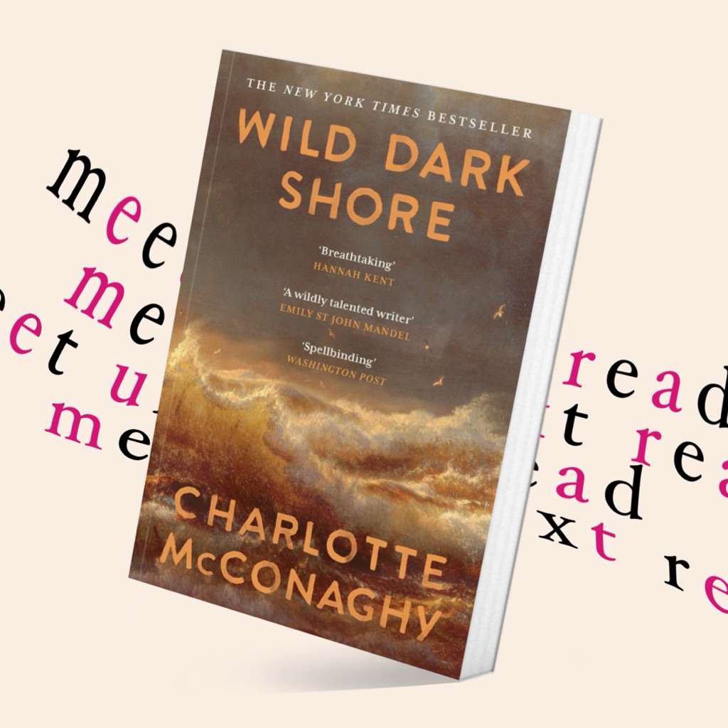 Wild Dark Shore by Carlotte Mc Conaghy (หนังสือภาษาอังกฤษ)