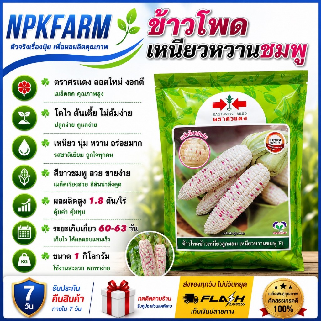 ศรแดง ข้าวโพด เหนียวหวานชมพู [ขนาด 1 ก.ก.] หมดอายุ 0/204/2570 ข้าวโพดหวาน รสชาติเหนียว นุ่ม หวาน อร่อย
