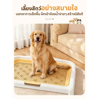 ถาดรองฉี่สุนัข ห้องน้ำสุนัข ถาดรองฉี่สัตว์เลี้ยง 2 ชั้น มีเสาถอดได้ ทนทานนานมาก ระบายน้ำดี ลดกลิ่นอับชื้น