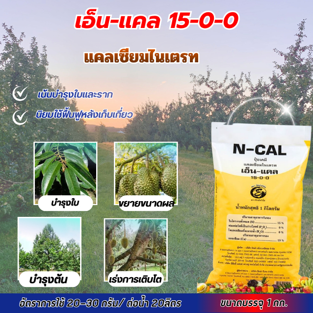 "เอ็น แคล 15-0-0" (N-Cal) คือปุ๋ยเคมีประเภท แคลเซียมไนเตรท
