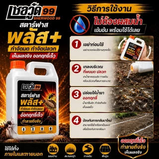 [1แถม1] เชอวู๊ด 99 สตาร์ฟาส พลัส+ น้ำยากำจัดปลวก มด แมลงคลาน สูตรเข้มข้น ทลายรังถึงต้นตอ สูตรพร้อมใช้งาน