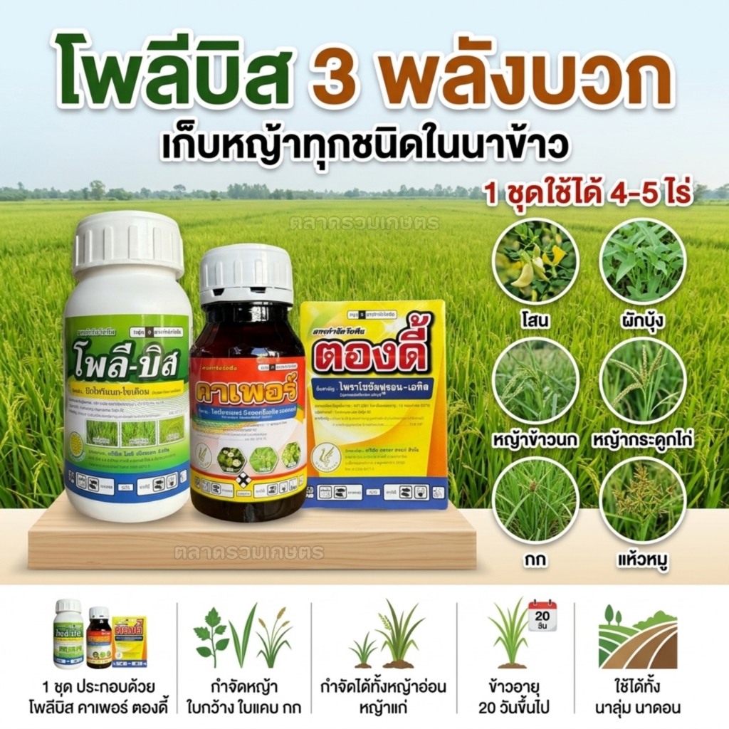 3พลังบวก บิสไพริแบคโซเดียม + ไพราโซซัลฟูรอน + ไตรโครเพอร์ เก็บหญ้าทุกในนาข้าว โพลีบิส + ตองดี้ + คาเพอร์ ใช้ได้4-5ไร่