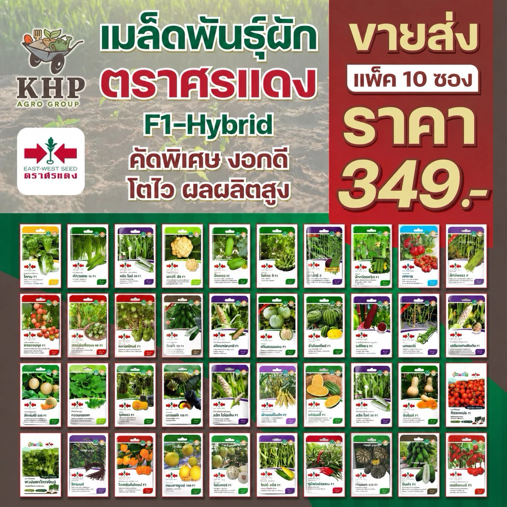 ขายส่ง ยกแพ็ต x 10 ซอง เมล็ดพันธุ์ผักซอง ศรแดง F1 คละชนิดได้ พันธุ์คัดพิเศษ F1- hybrid งอกดี โตไว ผลผลิตสูง