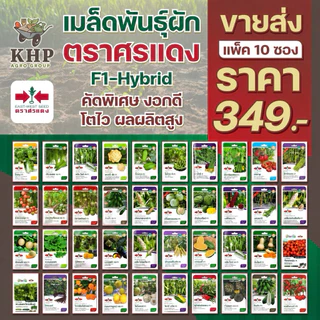 ขายส่ง ยกแพ็ต x 10 ซอง เมล็ดพันธุ์ผักซอง ศรแดง F1 คละชนิดได้ พันธุ์คัดพิเศษ F1- hybrid งอกดี โตไว ผลผลิตสูง