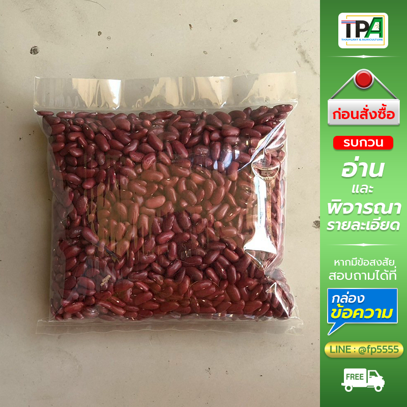 (Recheck)ถั่วเลนทิล เกรดอาหาร 500 g.-Red Lentils (Food grad).