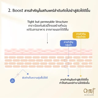[มีของแถม] (แพ็คคู่) AMT Liposome Serum 50 mL แถมฟรี!! แถมฟรี! เซรั่ม 30mL