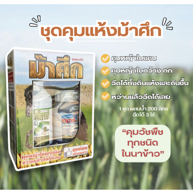 ชุดคุมแห้งม้าศึก คุมวัชพืชในนาข้าวทุกชนิด วัชพืชใบแคบ ใบกว้าง กก ฉีดก่อนวัชพืชงอกได้เลย