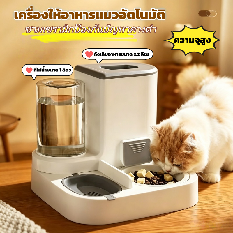【2in1】เครื่องให้อาหารสัตว์เลี้ยง ถังเก็บน้ำ ความจุ 1 ลิตร+ถังเก็บอาหาร ความจุ 2.2 ลิตร ชามเซรามิกรุ่นอัปเกรด ใช้ได้ทั้งแ