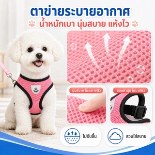 PETWELL สายรัดอกแมวพร้อมสายจูง สายรัดอกสุนัข ระบายอากาศได้ดี สำหรับแมวและสุนัขตัวเล็ก