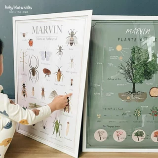 โปสเตอร์เด็ก (ไม่ใส่ชื่อ/พร้อมส่ง) / Kid Poster by Baby Blue Whales [Ready to Ship]