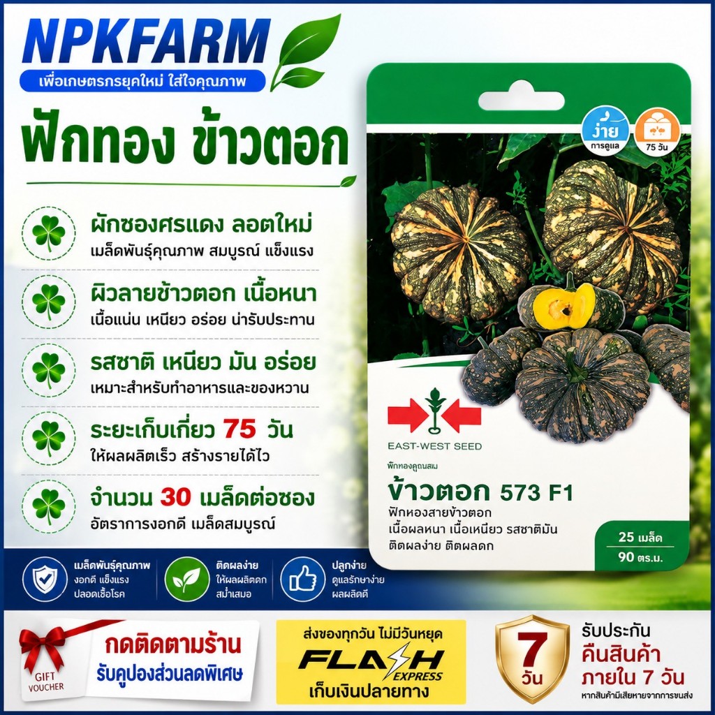 ศรแดง ฟักทอง ข้าวตอก หมดอายุ 05/01/2571 จำนวน 25 เมล็ด ลายข้าวตอก เนื้อผลหนา เนื้อเหนียว รสชาติมัน