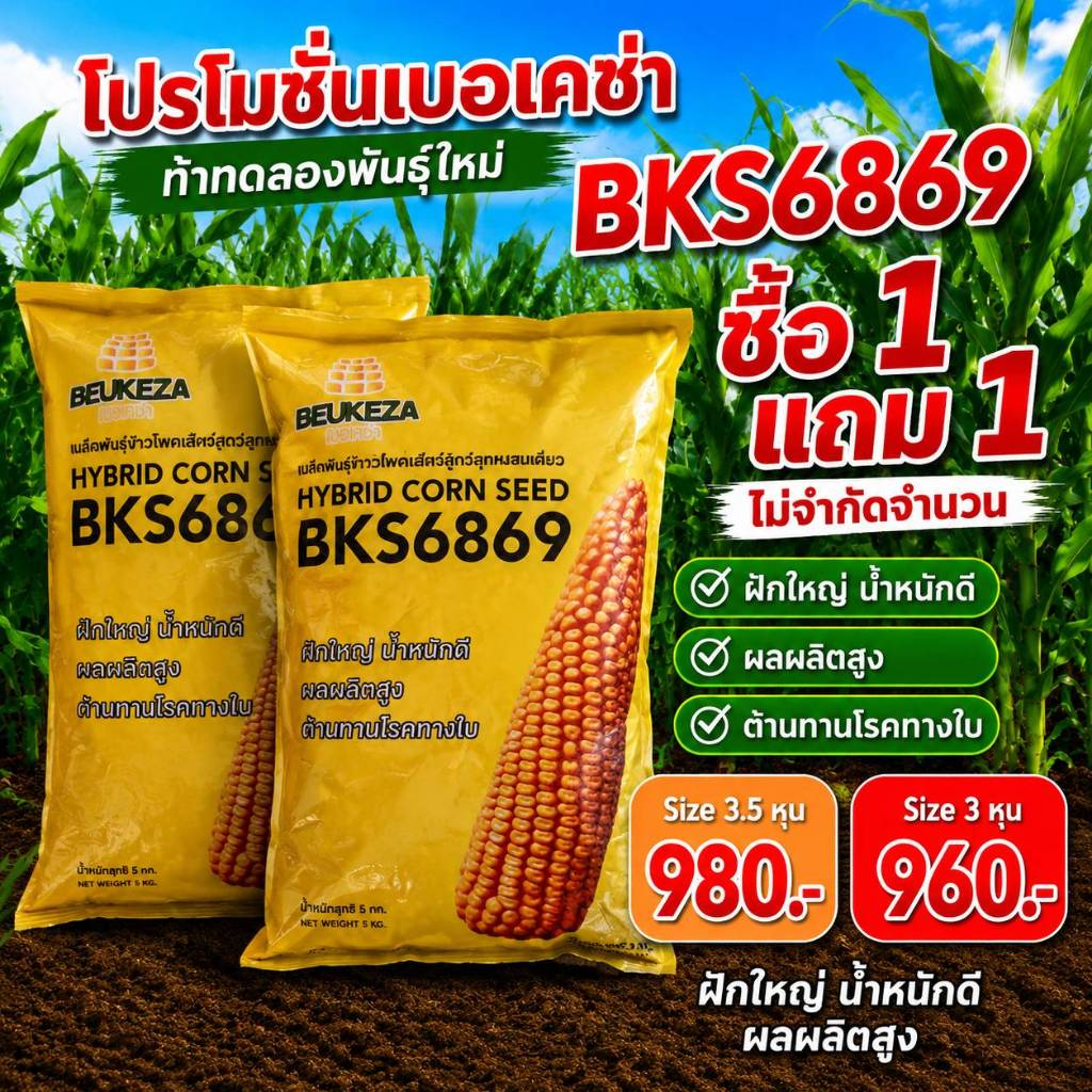 ซื้อ 1 แถม 1 โปรโมชั่นเบอเคซ่า ท้าทดลองพันธุ์ใหม่ BKS6869 (ถุง 5 ก.ก. * 2 ถุง)