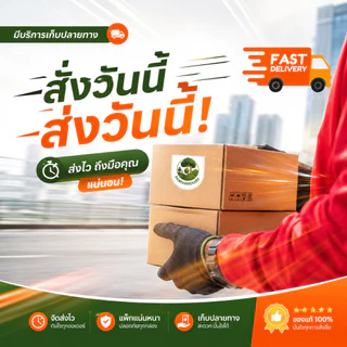 พาริช ไวเทค บูสต์ บี วัน วิตามินบี1 กรดอะมิโน 1 ลิตร ฟื้นต้น บำรุงราก