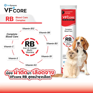 *ยกกล่อง 30ซอง x12g.* VFCore อาหารเสริม วิตามินสัตว์เลี้ยง ไลซีน วิตามินรวม รูปแบบอาหารครีมเลีย