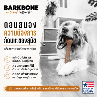 🇺🇸Made in USA🇺🇸 BarkBone Peanut Butter Infused Wood Dinosaur Nylon Dog Chew ของเล่นขัดฟันสุนัข