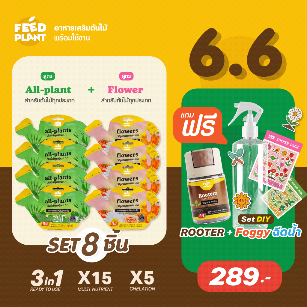 FEED PLANT สูตร All-Plants/ Flowers ชุดอาหารเสริมบํารุง ไม้ดอก+ไม้ใบ (เซ็ต 8 ชิ้น)