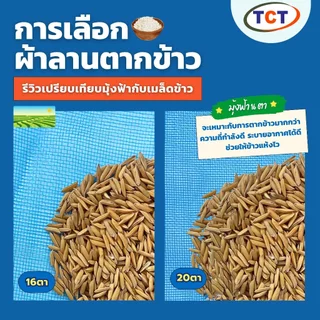 ☁️ TCT มุ้งฟ้า 💙 มุ้งโอรีน มุ้งไนล่อนฟ้า ผ้าแยงเขียว ผ้าลานตากข้าว ผ้าแยงเขียว เกรด A 🌾ความถี่16,20ตา ตราสับปะรด/TCT