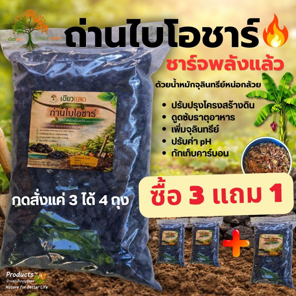 3 แถม 1 ถ่านไบโอชาร์ 🌳 บ้านสวนใบบุญ ถ่านชีวภาพ​ ถ่านปลูกต้นไม้ เพิ่มแร่ธาตุ​ดินดี ปุ๋ย ต้นไม้  สวน แคตตัส อุปกรณ์เพาะ