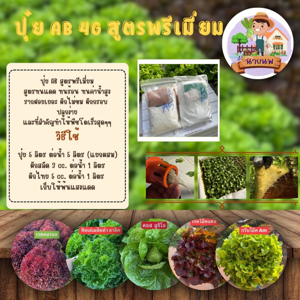 โปรแรง ปุ๋ยน้ำ AB  สูตรพรีเมี่ยม เหมาะกับหน้าร้อน