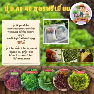 มาแรง ปุ๋ยน้ำ AB สูตรพรีเมี่ยม สำหรับปลูกผักในน้ำ