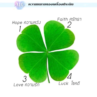 MCbrand.Jewelry🩵 สร้อยคอเงินแท้ 92.5% รุ่น Fortuna Clover🍀 ใบโคลเวอร์ โชคดี [แถมกล่อง+ใบประกัน] ใส่ติดตัวได้ ไม่ลอก
