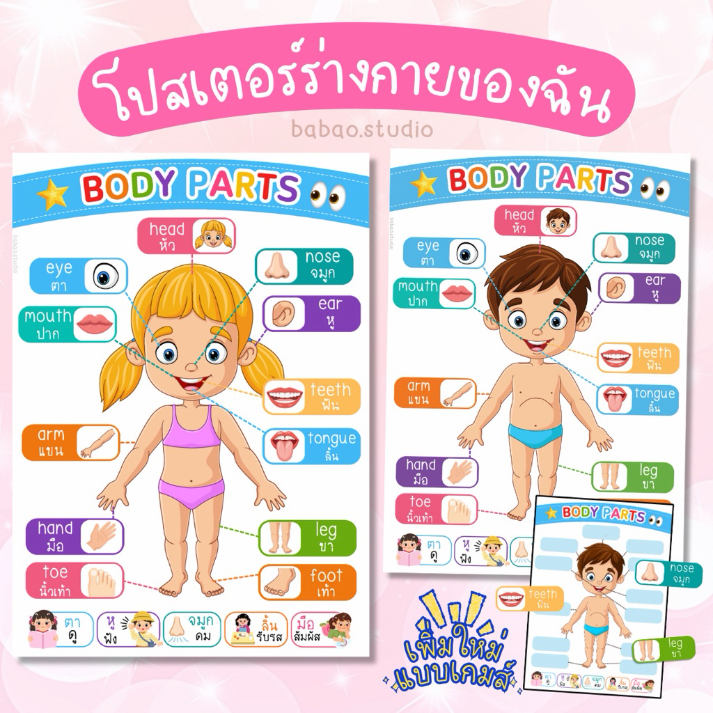 โปสเตอร์ & เกมส์ ร่างกายของฉัน เพิ่มทักษะ ฝึกสมอง สื่อการสอนสำหรับคุณครูและพ่อแม่ผู้ปกครอง