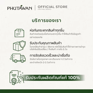 ภูตะวัน วิปโฟมล้างมือ จากกลิ่นป่าไทย ลดแบคทีเรียได้ 99.99% พร้อมปกป้องมือด้วย pH balance สะอาด ใช้ได้บ่อย 300 ml/500 ml