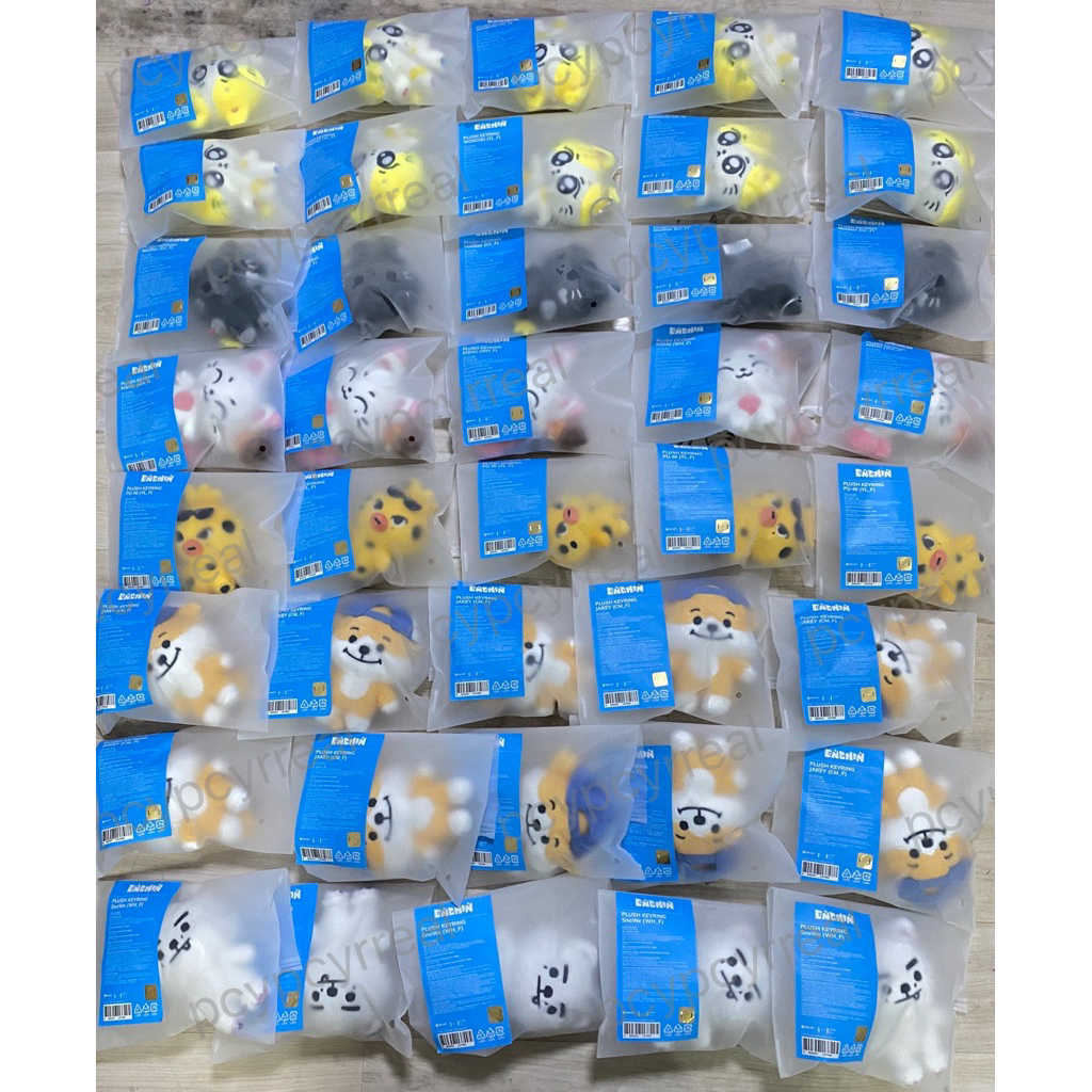 พร้อมส่ง ตุ๊กตา Enchin Enhypen