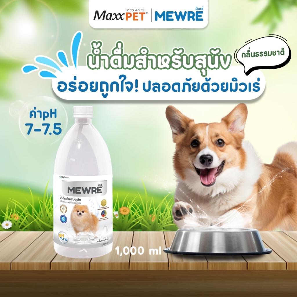Maxxpet นํ้าดื่มสําหรับสุนัข มีให้เลือก 2 สูตร น้ำดื่มเพื่อสุขภาพสัตว์เลี้ยง สำหรับคนรักสัตว์