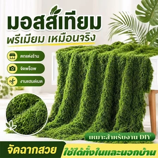 1m*1m สนามหญ้าเทียม แผ่นมอสเทียมคุณภาพพรีเมียม หนาพิเศษ กันน้ำ ตัดแต่งได้ตามใจ มอสอมตะ