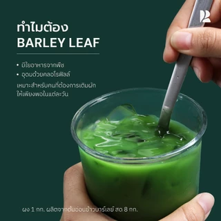 Rootroute | ผงต้นอ่อนข้าวบาร์เลย์ Barley Leaf Powder ผงต้นอ่อน 100% ผงละเอียด ไม่สากคอ [ผ่านอย.และมาตรฐาน ISO22000]