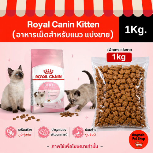 ( แบ่งขาย 1Kg. ) อาหารเม็ดแมว Royal Canin Kitten