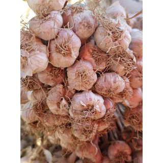 กระเทียมไทย กลีบเล็ก เนื้อแน่น สดใหม่ ปลอดสารพิษ น้ำหนัก 1 กิโลกรัม