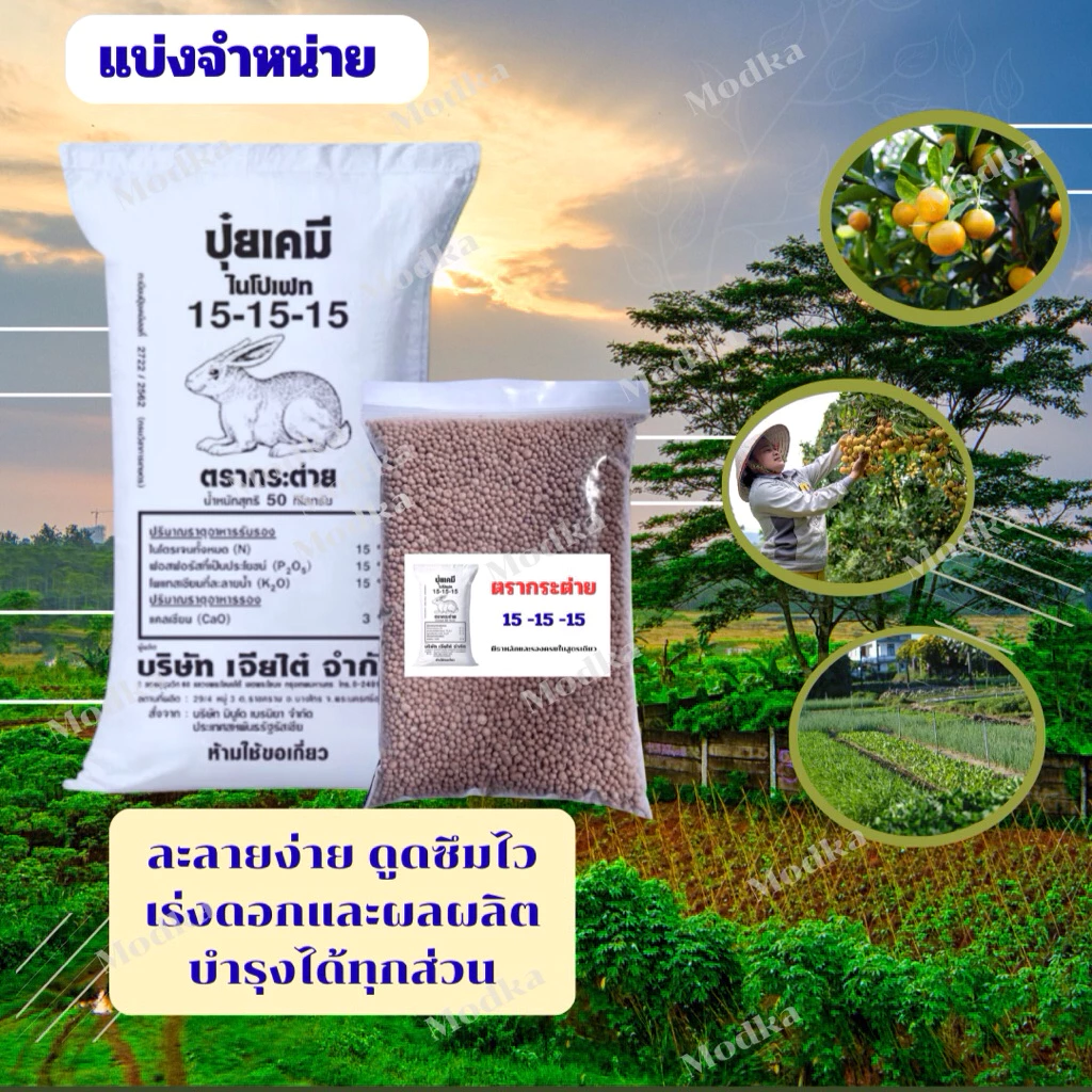 (ของแท้ 100%) ปุ๋ยสูตร 15-15-15 ตรากระต่าย[แบ่งขาย500กรัม,1กิโล]พร้อมส่ง