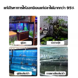 อุปกรณ์เสริมสำหรับปั๊มออกซิเจน: สายยางอ่อน, ปั๊มลมตู้ปลา, วาล์วกันกลับ, ข้อต่อสามทาง, ตัวกระจายอากาศ, หินกระจายอากาศ