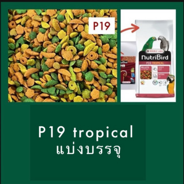 🅺🅺🅵 (แบ่งบรรจุ) NutriBird P19 tropical อาหารนก นูทรีเบิร์ดพี19