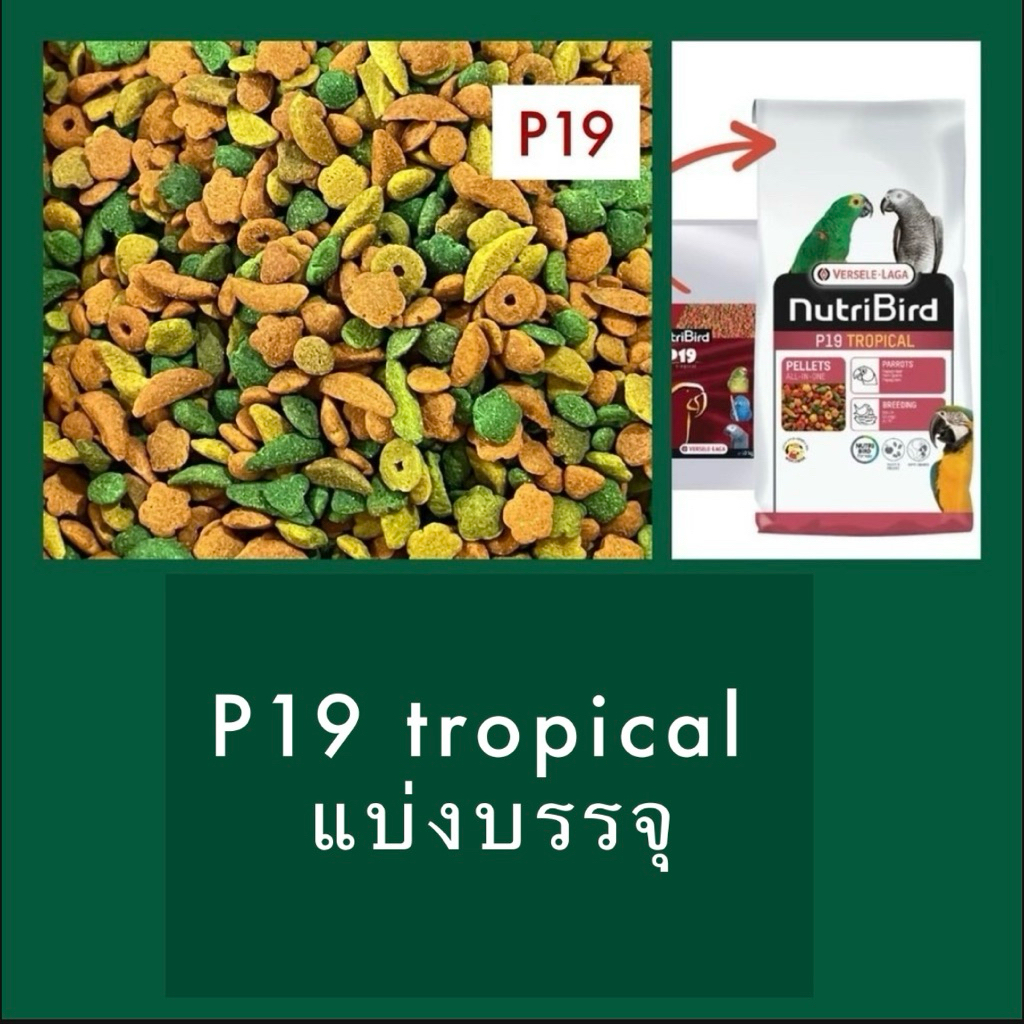 ⓅⓀⒻ [แบ่งบรรจุ] NutriBird P19 tropical อาหารนก นูทรีเบิร์ดพี19