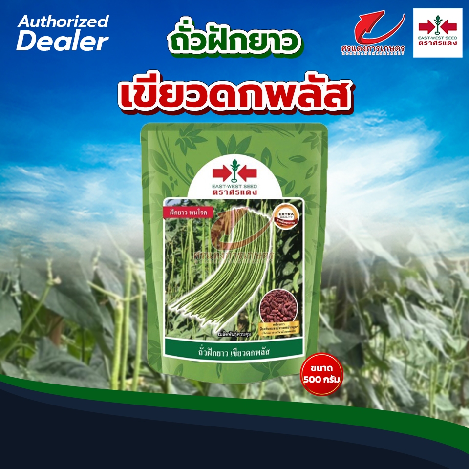 ถั่วฝักยาวเขียวดกพลัส 100g  500g