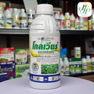โกลเวียร์ [ยกลัง 6/12 X 1 ลิตร] ควิซาโลฟอป-พี-เอทิล ยาลุยไร่มัน เก่งหญ้าใบแคบ