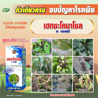 เฮกซะโคนาโซล ยาขัดผิว สูตรเย็น ผ่าดอกได้ สารป้องกันกำจัดโรคพืช กำจัดราดำ ราแป้ง ราใบจุด แอนแทรคโนส ใบไหม้ 1 ลิตร