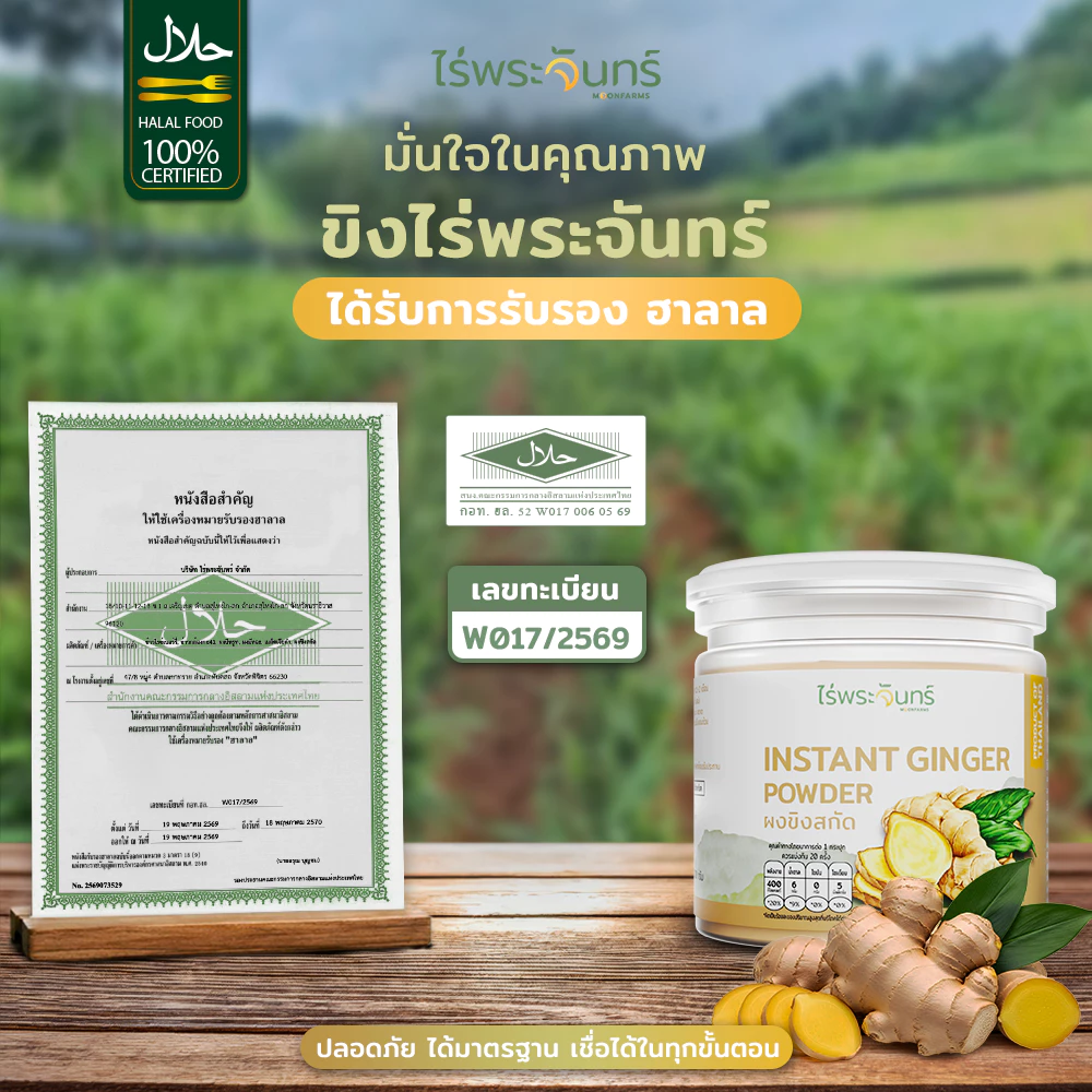 ผงขิงสกัด มีอย. แท้ ไม่ผสมแป้งและน้ำตาล แบรนด์ไร่พระจันทร์ ( ขิงผง ผงขิง ขิงบด  ผงขิงบด น้ำขิง เพิ่มน้ำนม ขิงสกัด ขิง ) thumbnail 8