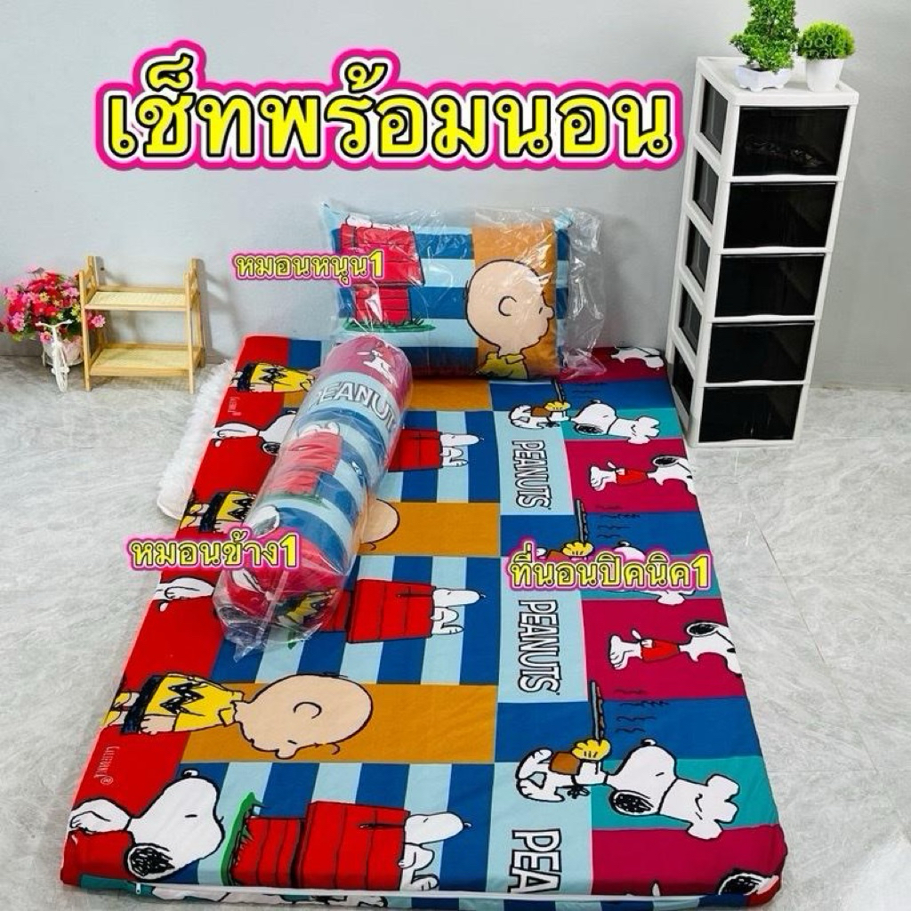 (เซ็ทพร้อมนอน)ที่นอนปิคนิคพร้อมหมอนหนุนหมอนข้าง
