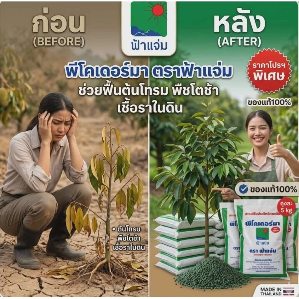 พีโคเดอร์มา ไตรโคเดอร์มาอัดเม็ด ตราฟ้าแจ่ม (ถุงละ 5 กิโลกรัม จำนวน 1 ถุง) ใช้ป้องกัน รักษาเชื้อราโรคพืชทางดิน
